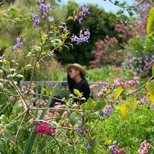 Meet your Posher, Ronalee